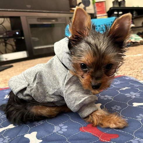 Jecikelon Winter Dog Hoodie Sweatshirts, Warm Dog Clothes for Small Dogs Chihuahua Coat, Grey, Medium