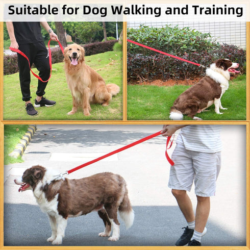 AMAGOOD 6 FT Puppy/Dog Leash, Strong and Durable with Easy to Use Collar Hook (Red, Pack of 1)