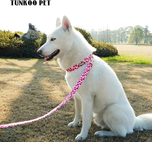Valentine's Day Dog Collar, Cute Adjustable Heart Collar for Boy and Girl Dogs, Strong Plastic Buckle, M