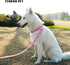 Valentine's Day Dog Collar, Cute Adjustable Heart Collar for Boy and Girl Dogs, Strong Plastic Buckle, M