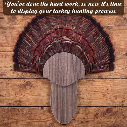 (14.5 Inch,Grey,Walnut Bucherry Turkey Tail Fan Mounting Kit for Hanging Turkey Tail, Feather, Beard, Wall Mounted