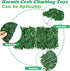 2 (10 10 Inch) PINVNBY PCS Hermit Crab Climbing Toys Hermit Crab Climbing Wall with Suction Cups Plastic Faux Grass Mat