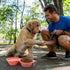 SLSON Collapsible Dog Bowls, 2 in 1 Foldable Pet Food & Water Bowl, Integrated Molding Double Bowl, Coral Pink