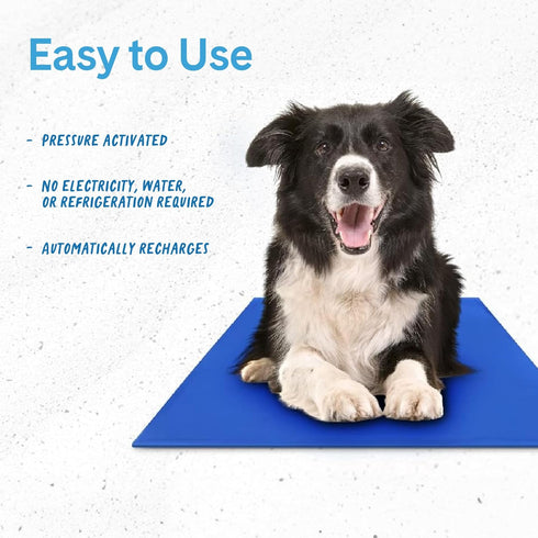 Hugs Pet Products Chillz Gel Mat, Large - Non-Toxic Pressure-Activated Cooling Pad for Pets, Ideal for Home, Travel &
