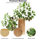 2 Meowoou Cat Wall Shelves with Leaves, Platform Cat Wall Furniture, Cat Tree Shelves, Rubber Wood Wall Perch with Mat