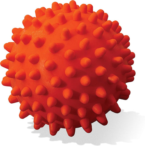 Franklin Pet Supply Co. Ready Set Fetch All Weather Ball - Launcher