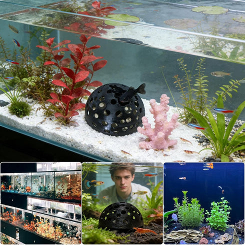 Generic Porous Shrimp Cave, Dome Underground Shelter, Fish Tank Cave for Aquarium Habitat, Freshwater Saltwater