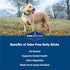 Barkworthies Odor-Free 6 Inch Bully Sticks - 5 Count (Pack of 1) - All-Natural Rawhide Alternative, Promotes Dental