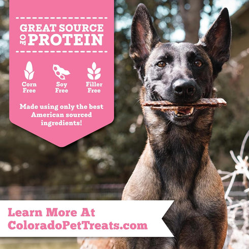 5 oz (Pack 2) Fresh Field Pork & Apple Jerky Chips, All-Natural Dog Treats, USA Made, No Fillers, Supports Digestion