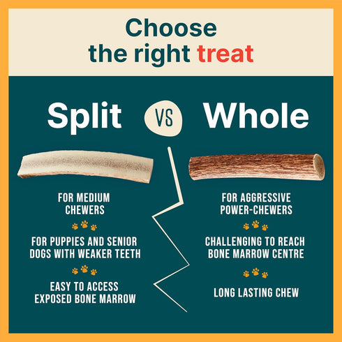 Split Medium Elk Antlers for Dogs (3 Pack) - Natural, Long-Lasting Chews for Aggressive Chewers, Naturally Shed in USA