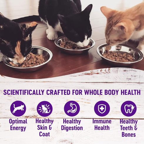 Wellness Healthy Indulgence Morsels Grain-Free Wet Cat Food, 3 Oz Pouches, Chicken & Turkey, 24 Pack