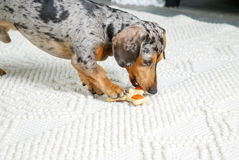 Hartz Chew ‘n Clean Tri-Point Dog Toy, Chicken Flavored Chew Toy and Treat in One, Small