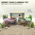 Pertlle Hermit Crab Climbing Hideout, Stackable Grid Cave Shelter for Hermit Crabs & Small Crabs, Plastic Climbing Toy