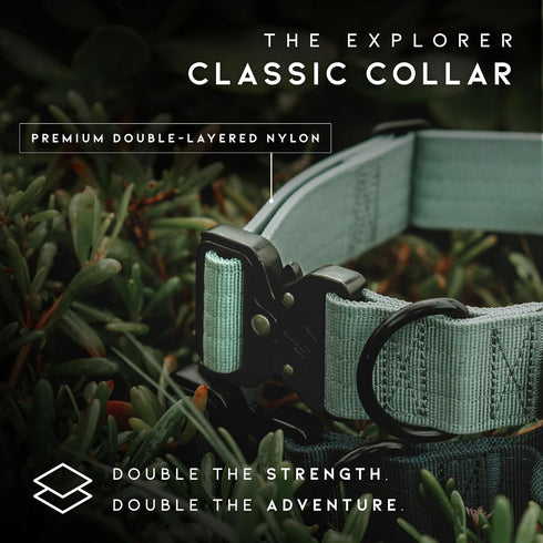 Made to ROAM Premium Dog Collar, Adjustable Heavy Duty Nylon Collar with Quick-Release Metal Buckle