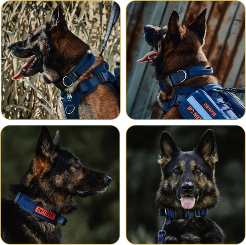 Tough Dog Collars, Tactical Adjustable Dog Collar with Handle, Heavy Duty Metal Buckle for Training, Medium, Blue