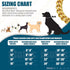 Gold Dog Collar - 10mm Slip Cuban Link Chain, Heavy Duty Stainless Steel Collar for Dogs (14")