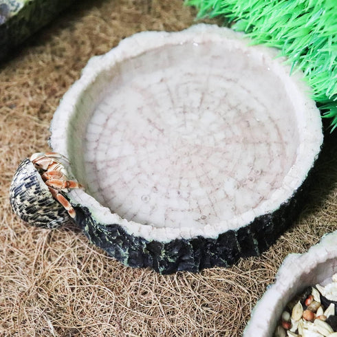 3 Pack Reptile Water Dish Food Bowls, Hermit Crab Food Dish, Bearded Dragon Water Bowl for Tortoise, Turtle, Frog