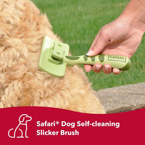 Coastal Pet Safari Dog Self-Cleaning Slicker Brush, Dog Deshedding Brush, Prevents Mats and Tangled Hair, Small