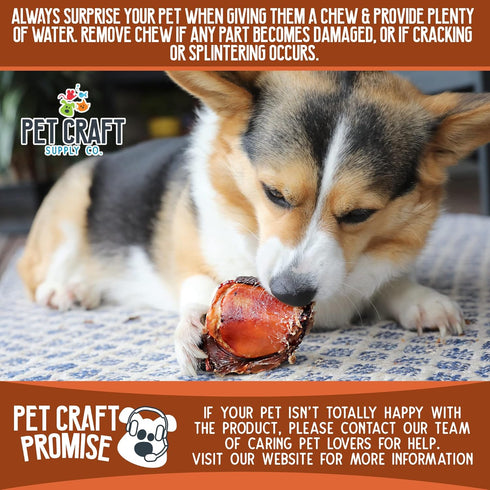 Pet Craft Supply USA Made Meaty Beef Knee Caps Bones, 10-Pack, Dog Treats for Aggressive Chewers