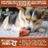 Pet Craft Supply USA Made Meaty Beef Knee Caps Bones, 10-Pack, Dog Treats for Aggressive Chewers