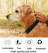 Cute Personalized Dog Collar for Small Medium Large Dogs, Adjustable Soft Collars with Quick Release Buckle for Walking