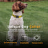 Dog Collar - Sunflower Floral for Boys Girls, Adjustable Soft Sunflower Pet Collar with Safety Buckle for Small Medium