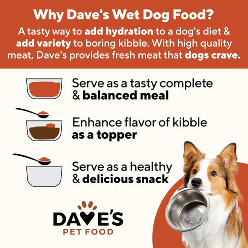20 13.2 oz (12 Pack) Dave's Pet Food Stewlicious Canned Dog Food with Gravy (Shepherd's Pie with Lamb & Beef), Made