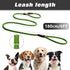 PetiFine 6FT x 1/2" Slip Lead Dog Leash, Reflective Durable Adjustable Nylon Rope for Small Medium Large Dogs (Green)
