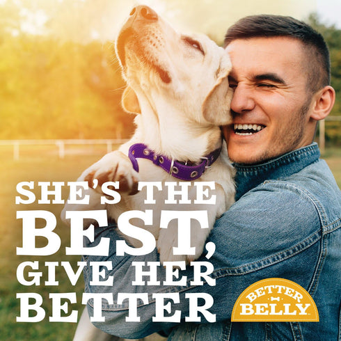 Better Belly Highly Digestible Rawhide Dental Chews, 4 Count - No Artificial Colors or Flavors for Dogs