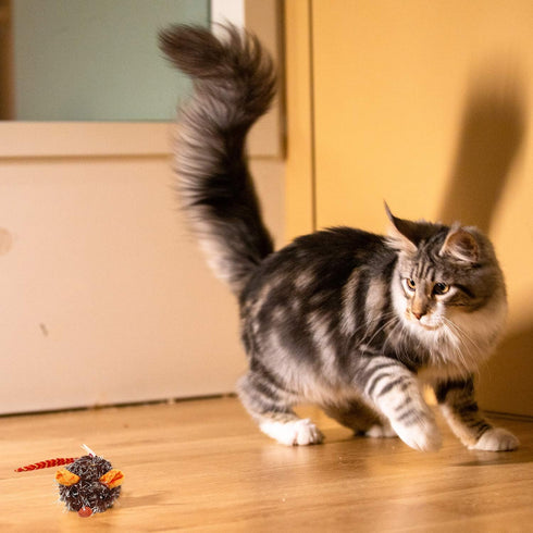 Gigwi Interactive Cat Toy, Automatic Moving Mouse with Furry Tail, Squeaky Toy for Indoor Cats, Orange Ear