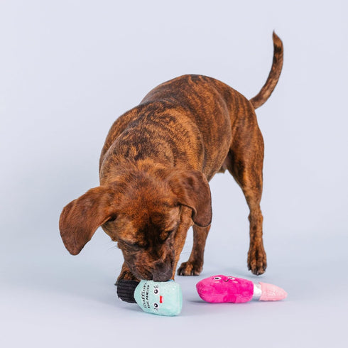 Fringe Studio Plush Dog Toy Set with Treat Pockets for Interactive Play, Wake Up and Make Up, 2 Piece Set