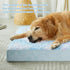 WNPETHOME Orthopedic Large Dog Bed, Dog Bed for Large Dogs with Egg Foam Crate Pet Bed with Soft Rose Plush Waterproof Dog Bed Cover Washable Removable (S(30 * 20 * 3in),)