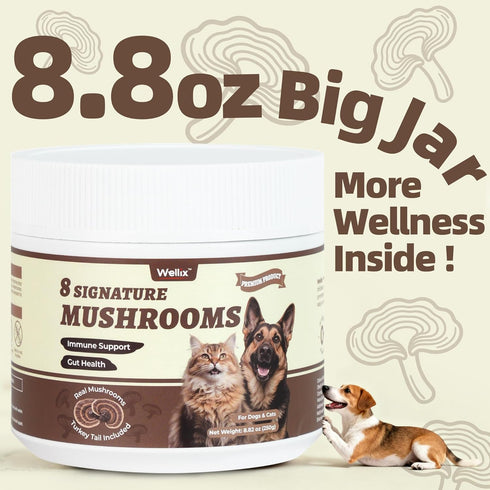 8 Immune, Wellix Mushroom Powder Supplements for Dogs & Cats - Lumps & Bumps Dog Supplement - Types of Mushrooms