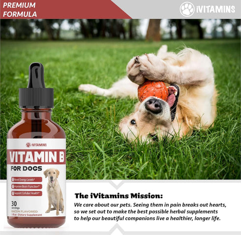 iVitamins B12 B12 B12 Do1 oz: Vitamin B for Dogs | Vitamin B Complex for Dogs | Vitamin for Dogs | Dog Vitamins |