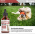 iVitamins B12 B12 B12 Do1 oz: Vitamin B for Dogs | Vitamin B Complex for Dogs | Vitamin for Dogs | Dog Vitamins |