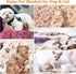 40 Chumia Pcs Dog Blankets Soft Fluffy Fleece Washable Puppy Sleep Blankets Small Mat for Pets Throw Warm Bed Mat