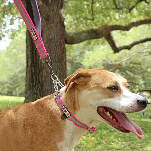 Pawtitas Double Handle Heavy Duty Dog Leash for Training, No Pull Leashes for Medium and Large Dogs - Black
