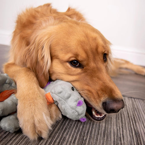 goDog Dragons Durable Plush Dog Toy - Gray, Large with Squeaker