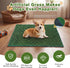 32" 32" 17" Hemmed x x Dog Litter Box with High Walls with Artificial Grass Edge, Portable Dog Potty Tray Large Puppy