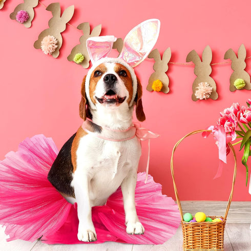 2 Pcs Dog Crown Headband and Tutu Dress Set, Crystal Rhinestone Dog Tiara Crown Tutu Skirt for Puppy Party