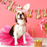 2 Pcs Dog Crown Headband and Tutu Dress Set, Crystal Rhinestone Dog Tiara Crown Tutu Skirt for Puppy Party