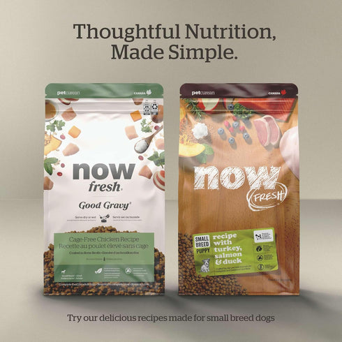 Now Fresh Dry Dog Food for Small Breed Seniors - Turkey, Salmon and Duck Recipe, 6 lbs, Grain Free