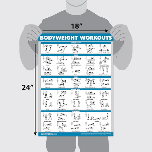 Palace Learning 3 Pack Workout Charts: Bodyweight Workouts, Stretching Exercises, Sliding Bench