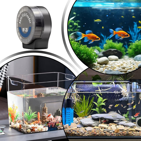 Generic Feeder,21-Compartment 6 Fish Automatic Timers Aquarium Food Dispenser,Fish Tank Smart Feeder - for Turtle Betta