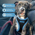 Voyager Step-In Air Dog Harness - Army/Black Trim, L - No Pull, Reflective, All Weather Mesh for Small, Medium Dogs,