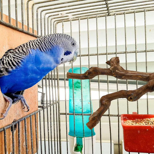2 Packs Parrot Bird Perches - Natural Wild Grape Stick Grinding Paw Climbing Cage Accessories Toy for 3-4 Parakeets