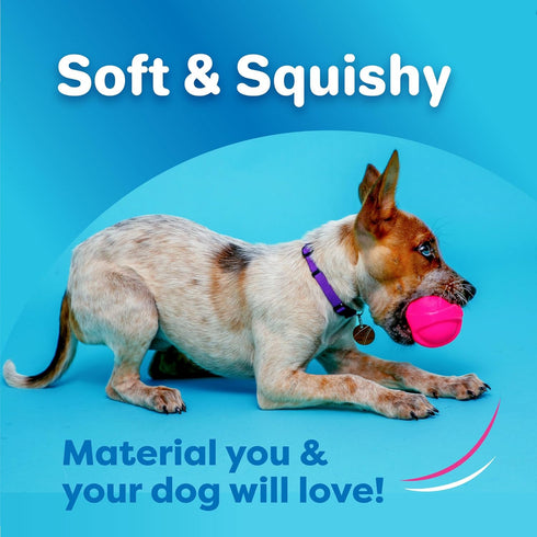 1 Count, Hartz DuraPlay Bacon Scented Dog Toys, Large Colors may vary