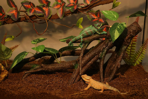 AQUA KT Reptile Climbing Branch Tree Trunk with Leaves for Lizard Bearded Dragon Snake Gecko Leopard Chameleon Frog