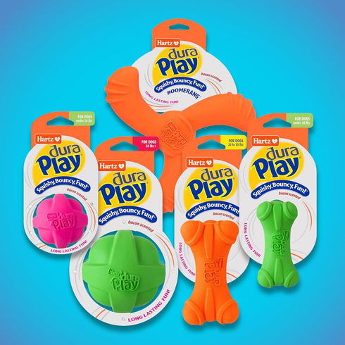 1 Count, Hartz DuraPlay Bacon Scented Dog Toys, Large Colors may vary