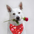 Valentines Dog Bandana, Holiday Cat Bandana Heart, 2 Pack Scarfs for Small Medium Large Pets